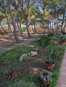 CountryLoft-LeMareediCarloforte img42