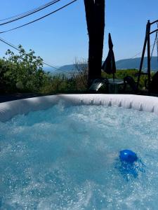 LA GINESTRA B&B