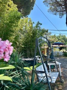 LA GINESTRA B&B