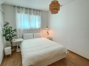 Opening Special Near Gwanaksan SNU Spacious 2 Rooms 3 Queen Size Beds Up to 6 People