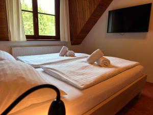 Horský hotel Vidly