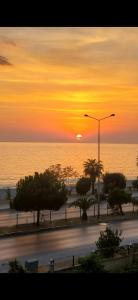 Moda Marine Wedat