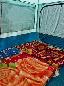 Aagosh camps gurezvalley
