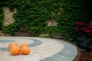 Mas Roquet - Maçanet de Cabrenys