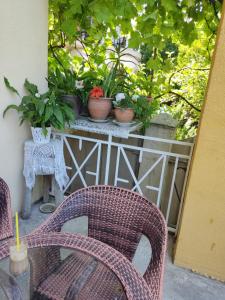 Boutique Hotel Eco-House 25 Tbilisi25