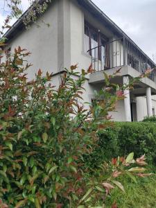 Apartman Poirot Jana