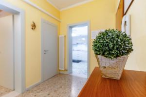 Cozy Quiet Venice Guglie Apartment