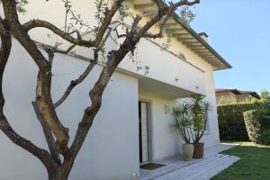 Villa Camillo by MMega