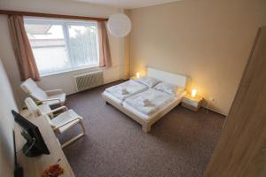 Double Room room in Penzion Starr