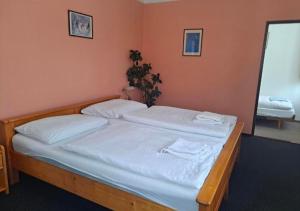 Hotel Praděd