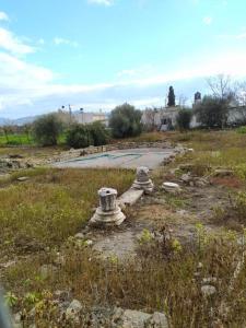 Ancient Gortyna Home -Basilica & Mosaic View