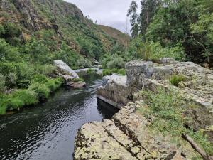 Refúgio no Paiva River House
