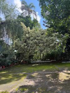 Shanty Botanical by The Prime Escape
