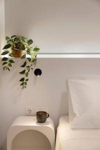 Stylish apartment in Petralona