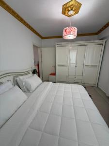 Alex Apartment1