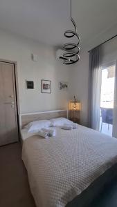 The Suite