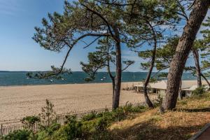Appartement Eugenie- Arcachon