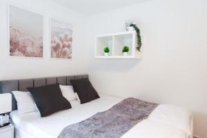 Modern K-Town Studio WiFi Kitchen Smart TV
