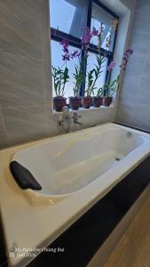 My Paradise Boutique Eco Resort Chiang Rai