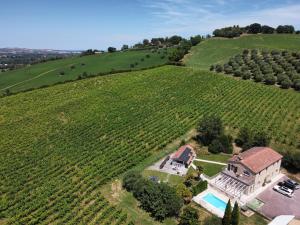Tenuta Marino - Piscina e Tramonti Unici tra i vigneti