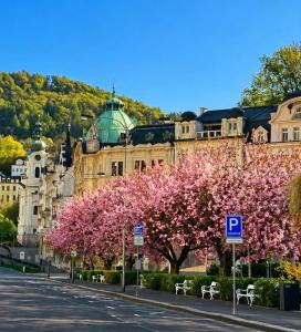 Colonnade Studio, Karlovy Vary