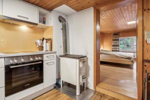 Alpine Chalet Apt near Interlaken Balcony&Parking