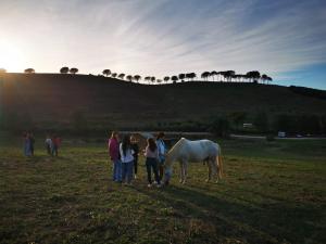 Tenuta Agricola Fonte Di Papa