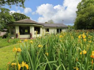 Bulrush Cabin