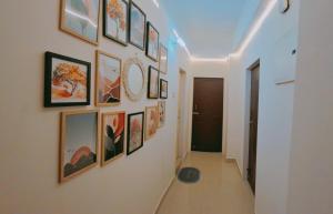 Transit Nest 1BHK