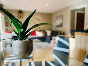 Bright Coastal Flat 5 Minutes from Frinton Beach