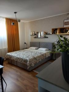 Apartman Zlata