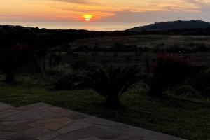 Stazzo gallurese Li Nibbareddhi img14