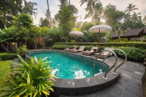 Lunga Cafe & Villa