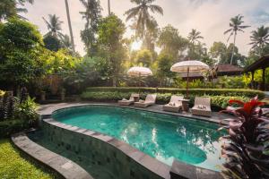 Lunga Cafe & Villa