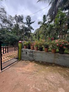 Ira Homestay