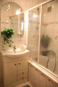 Vintage Apartmán v Ružinove