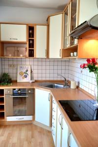 Vintage Apartmán v Ružinove