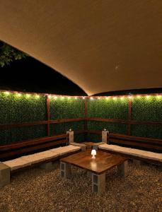 The Hidden Garden