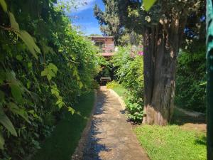 Casa Adelina img1