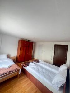Albanica Guesthouse