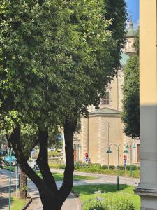 1Dest - Palazzo 5 Wood