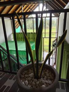 Rainforest Nature Resort - Sinharaja