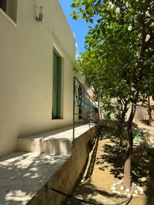 JOHNMAR apartment