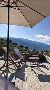 Admonis - Home in the olive grove