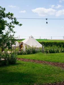 Hoeve de Binnenplaets - Comfort glamping tent