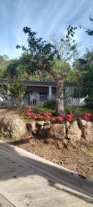 Villa la ceiba