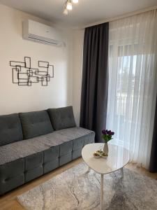 Apartman Nikoletin kutak Vrnjačka banja