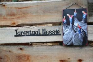 Guineas Nest
