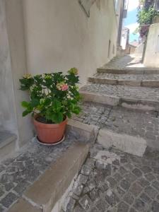 Casa Annina in Basilicata