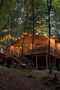 Cabana Manea Forest Hub